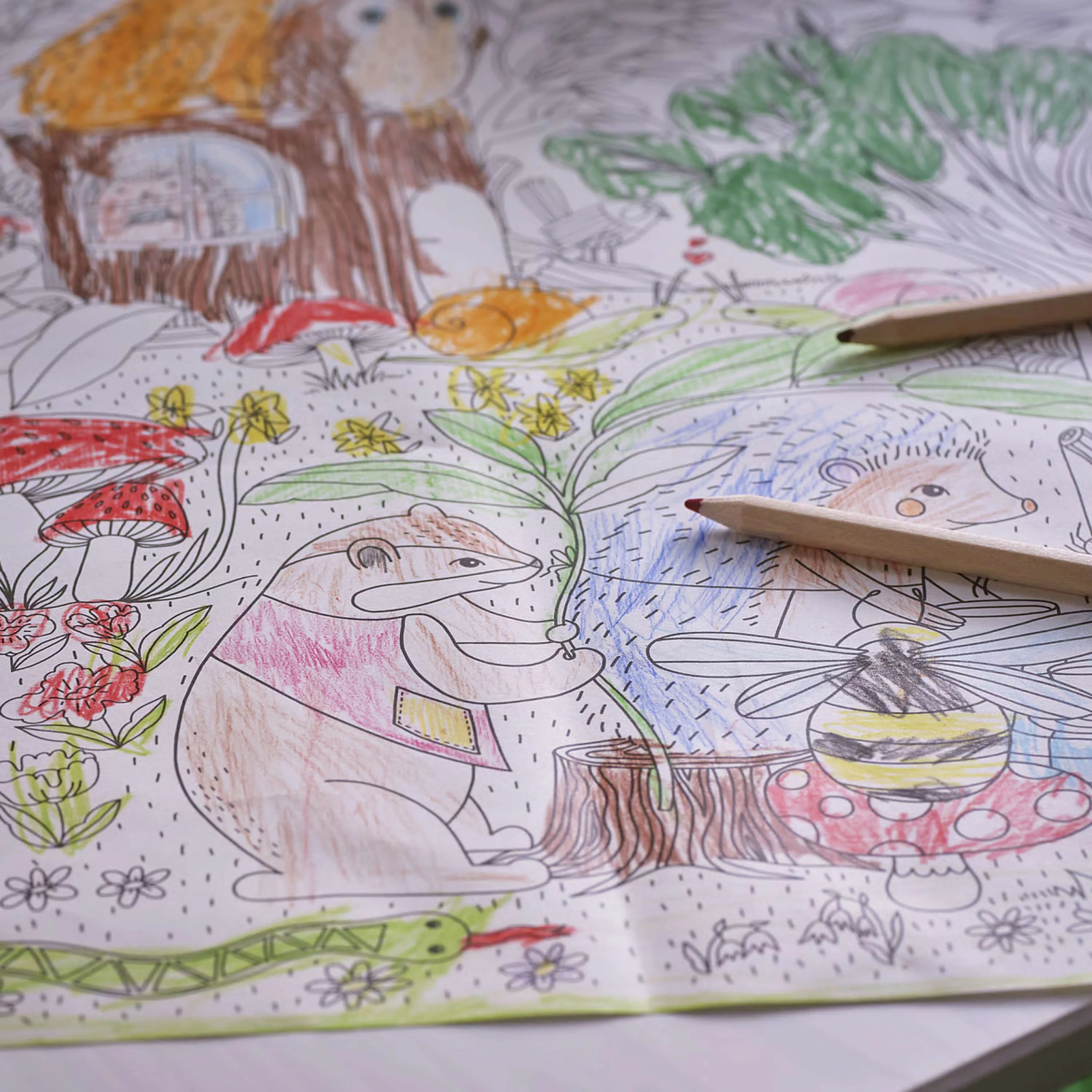 Color Pencils